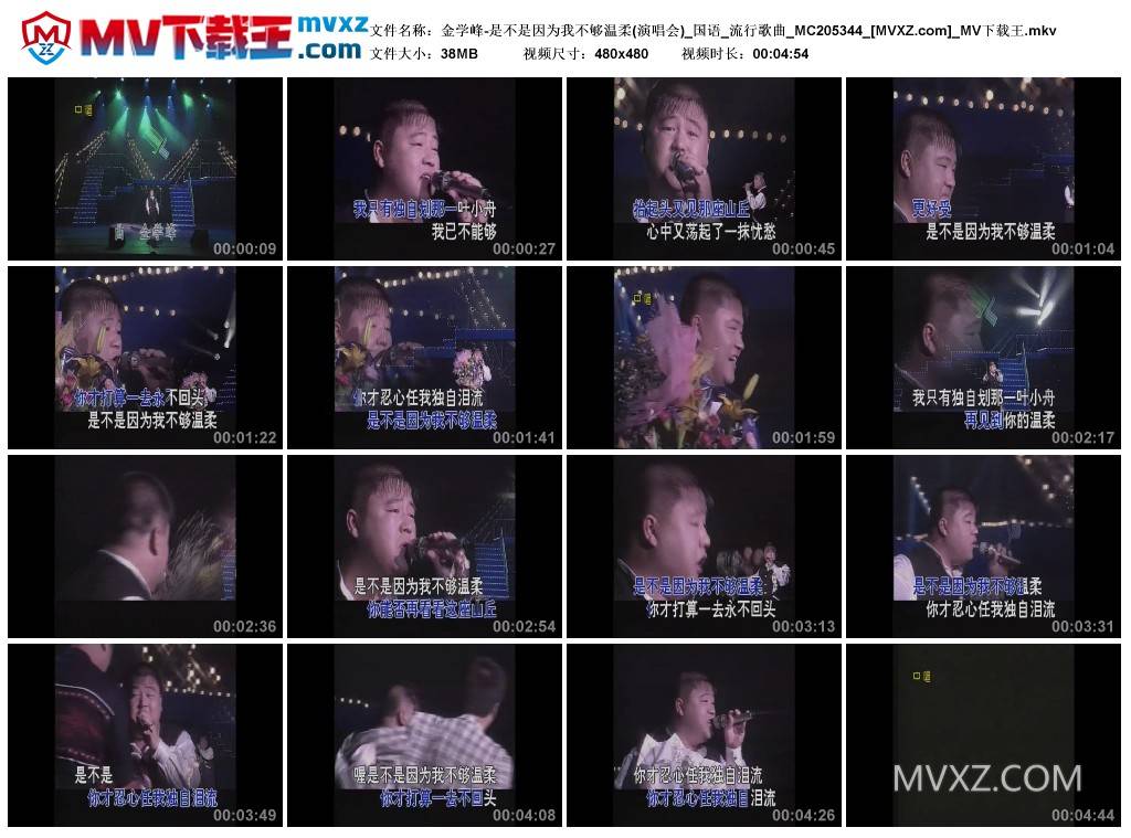 金学峰-是不是因为我不够温柔(演唱会)_国语_流行歌曲_MC205344